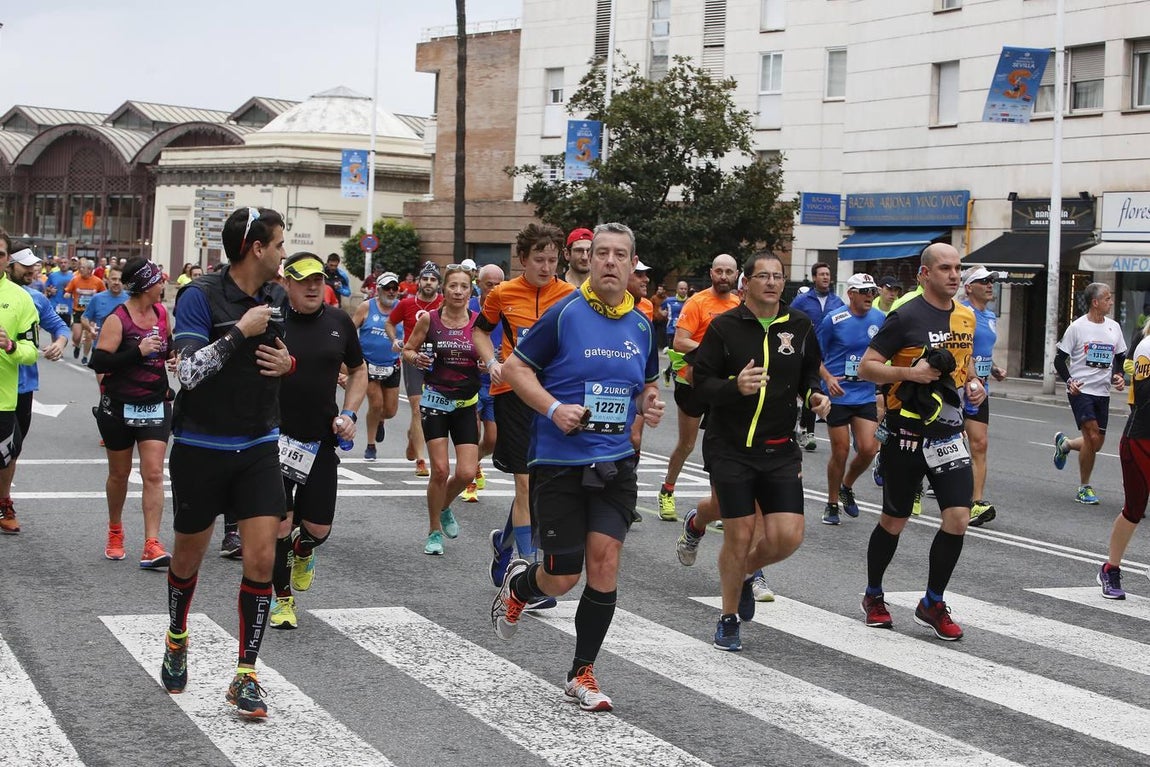 ¿Has corrido el Maratón de Sevilla? ¡Búscate en las imágenes! (II)