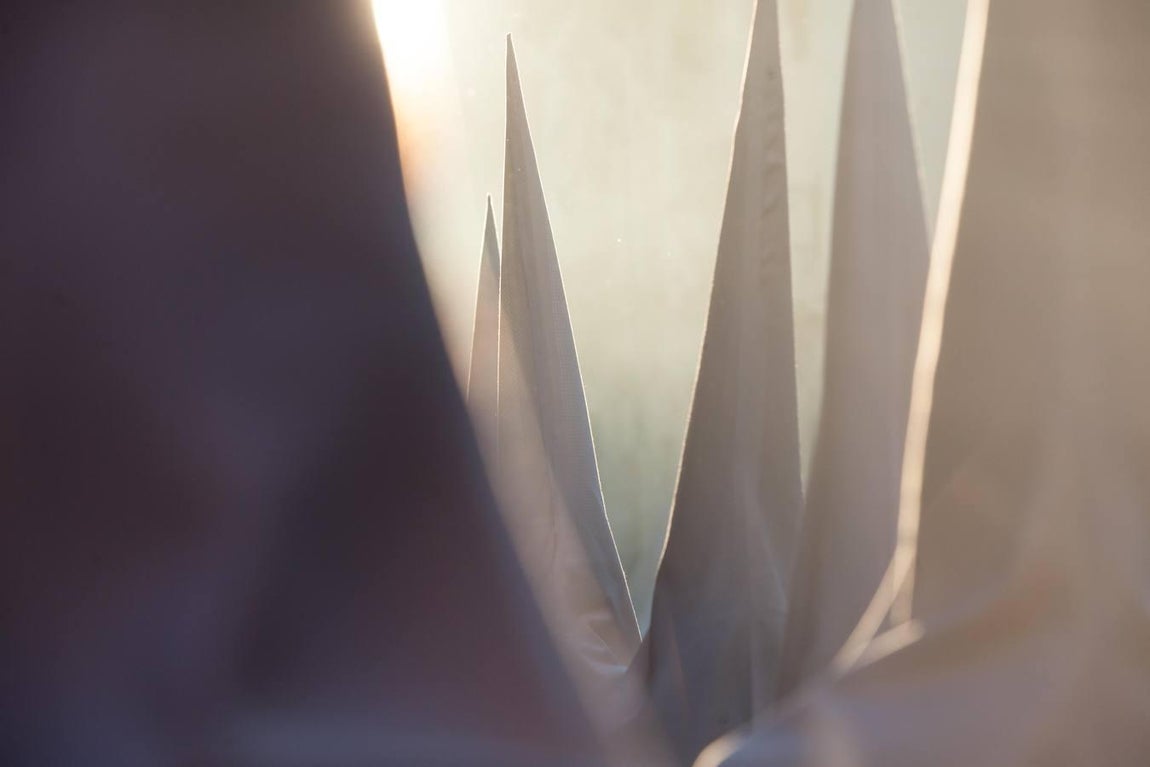 Las fotos de la Misericordia de la Semana Santa de Córdoba 2017