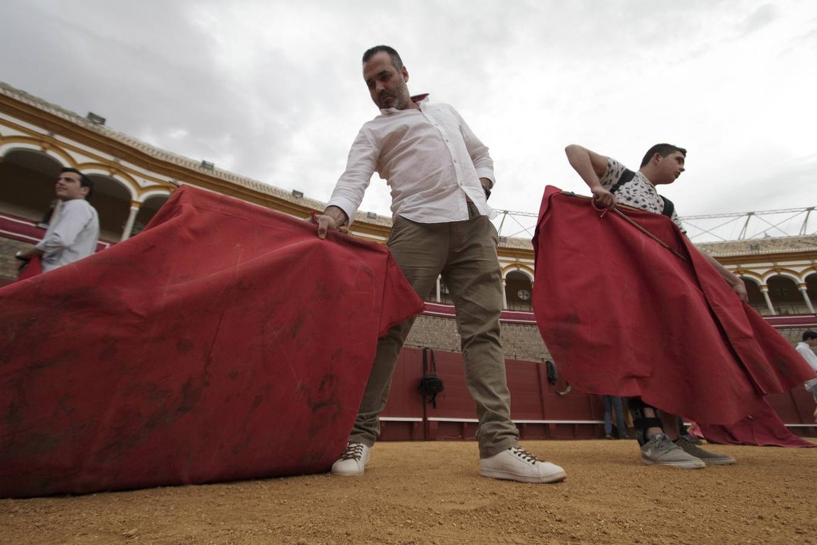 Esta actividad, organizada por la empresa Pagés en colaboración con la Fundación Cajasol, busca difundir los valores del toreo.