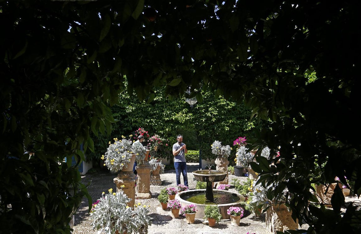 Los patios del Palacio de Viana de Córdoba, en imágenes