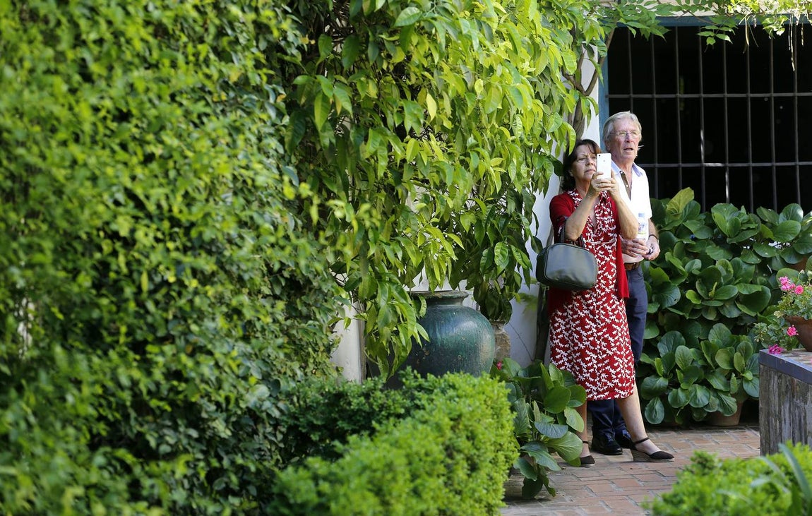 Los patios del Palacio de Viana de Córdoba, en imágenes