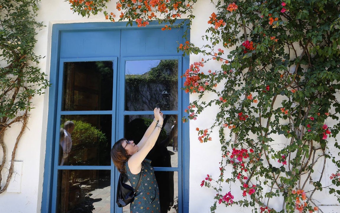 Los patios del Palacio de Viana de Córdoba, en imágenes