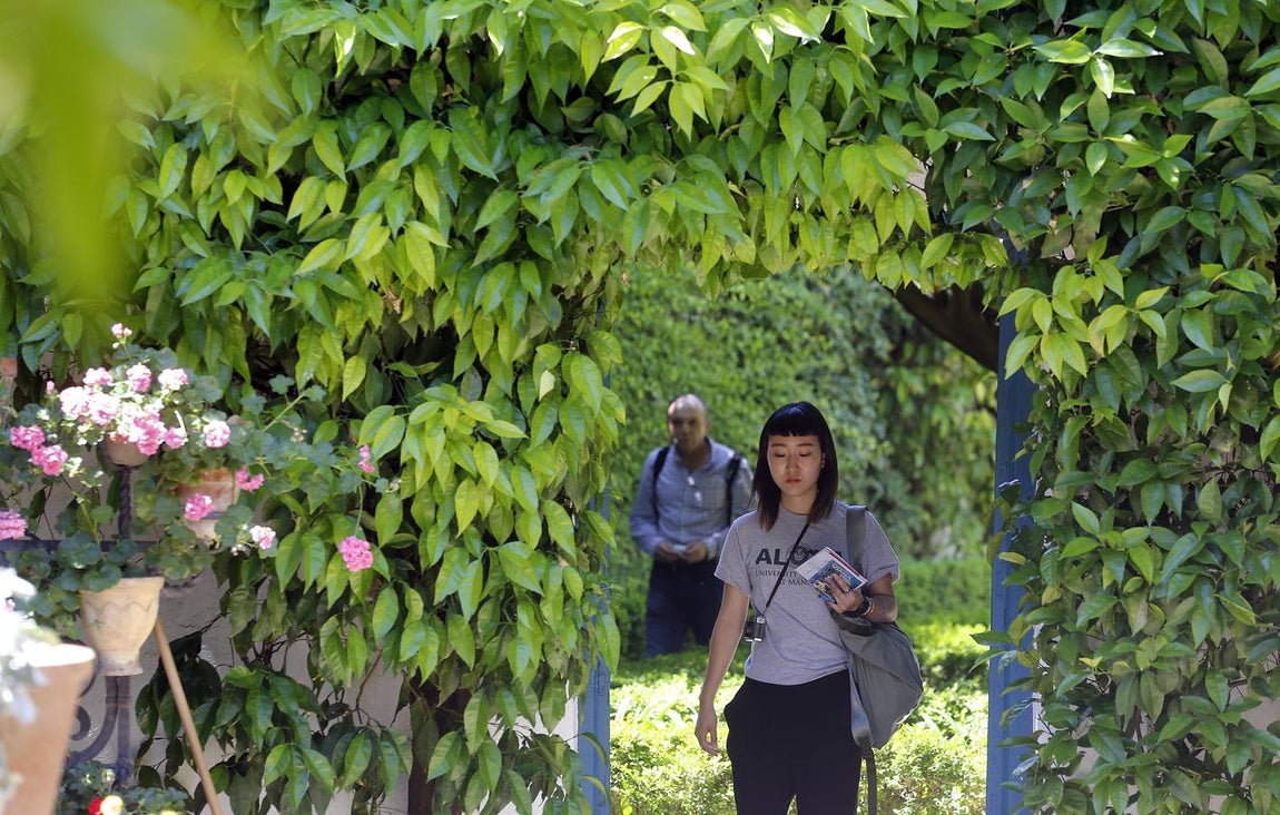 Los patios del Palacio de Viana de Córdoba, en imágenes