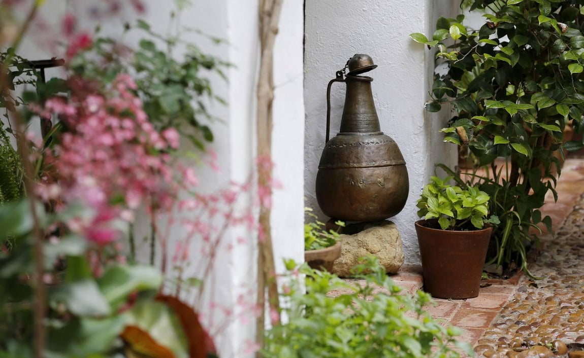 Los patios de la Judería de Córdoba, en imágenes