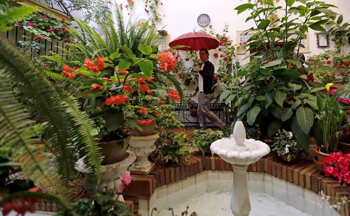 Los patios de la Judería de Córdoba, en imágenes