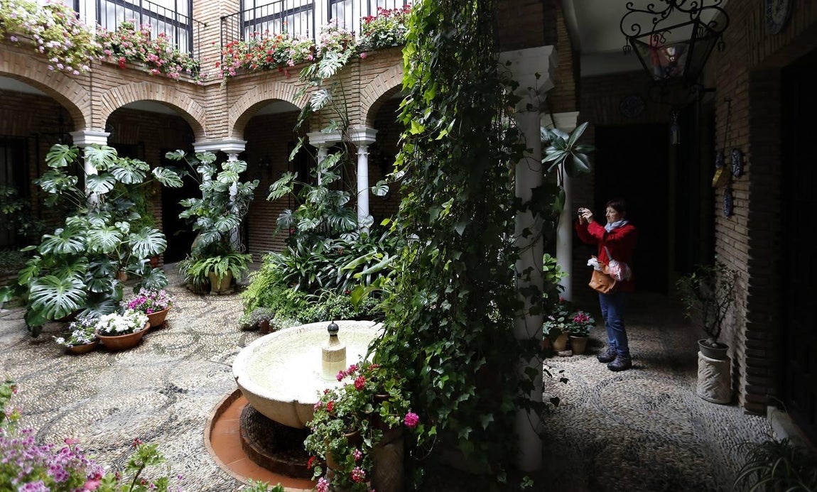 Los patios de la Judería de Córdoba, en imágenes
