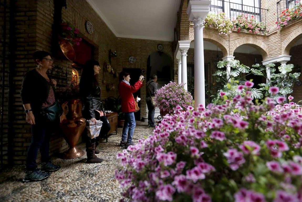 Los patios de la Judería de Córdoba, en imágenes