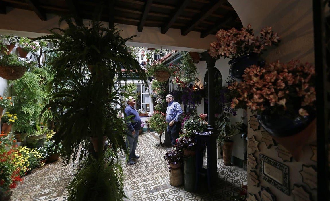 Los patios de la Judería de Córdoba, en imágenes