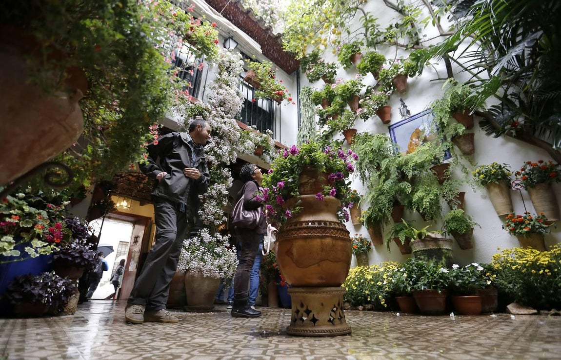 Los patios de la Judería de Córdoba, en imágenes