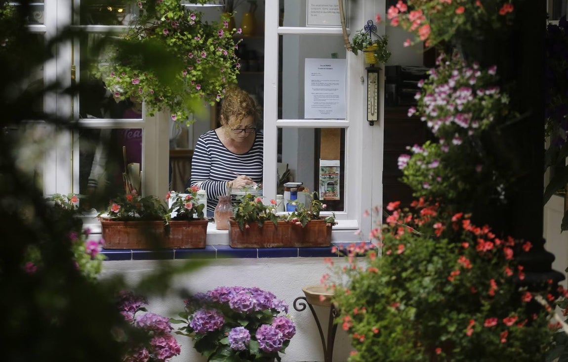 Los patios de la Judería de Córdoba, en imágenes