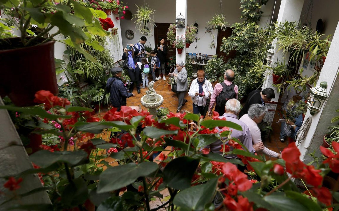 Los patios de la Judería de Córdoba, en imágenes