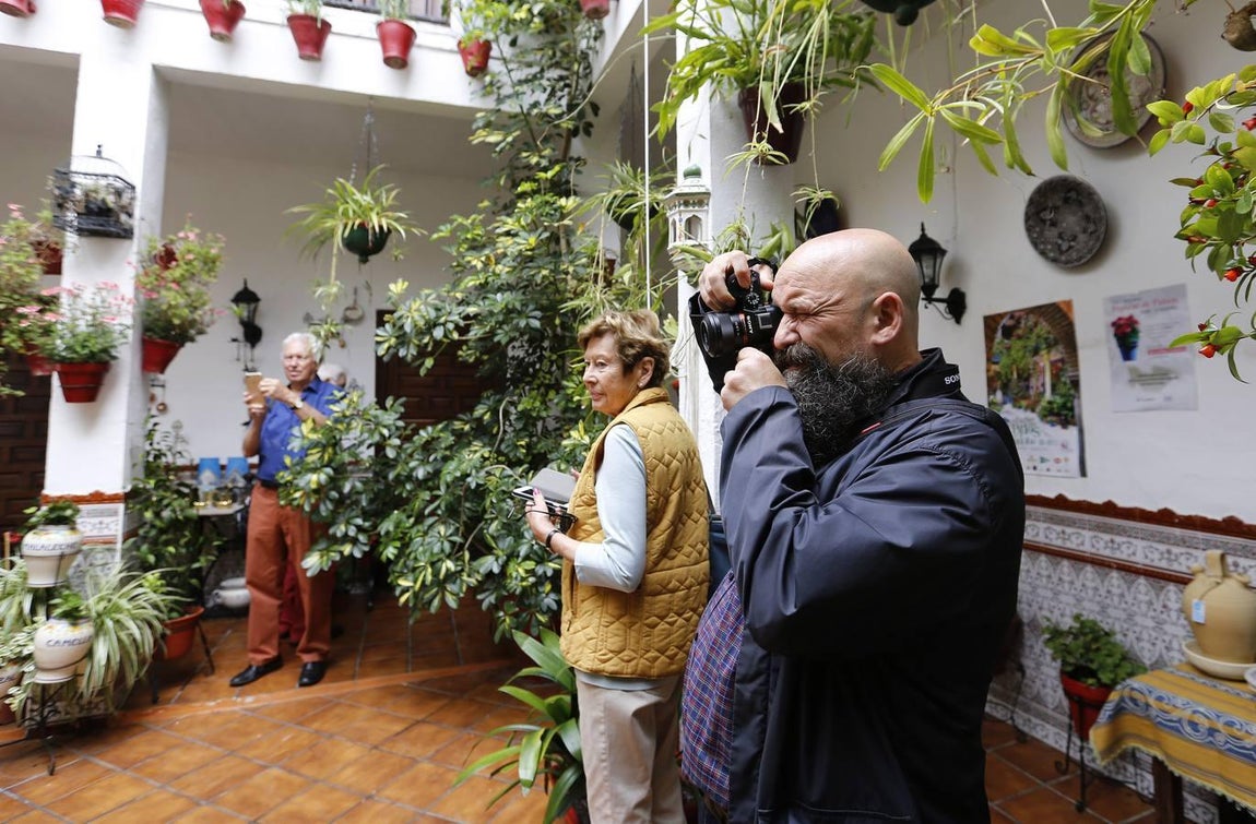 Los patios de la Judería de Córdoba, en imágenes