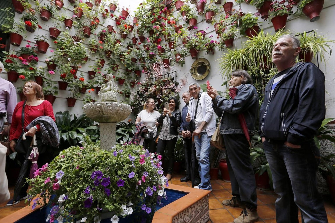 Los patios de la Judería de Córdoba, en imágenes