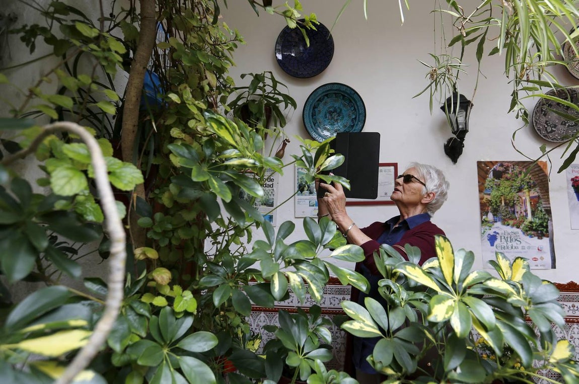 Los patios de la Judería de Córdoba, en imágenes