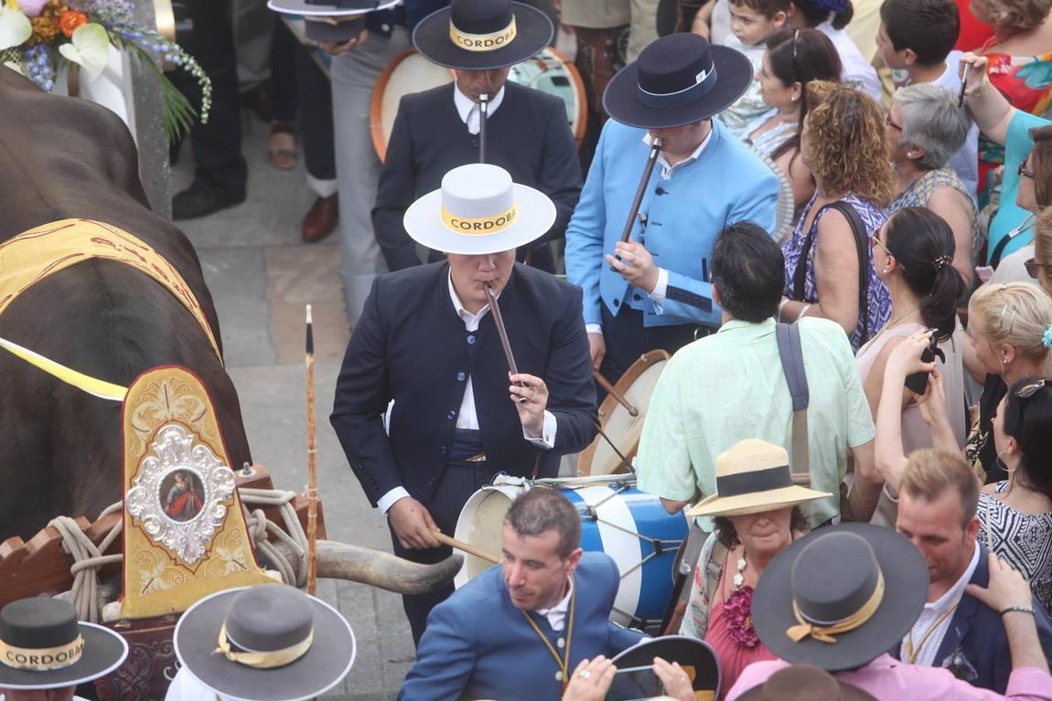 La salida de la Hermandad del Rocío de Córdoba, en imágenes