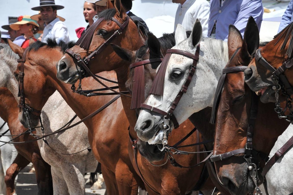Jornada de presentaciones de hermandades del Rocío en Villamanrique