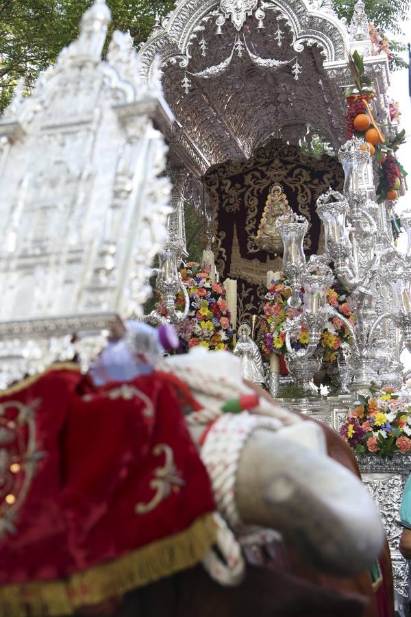 La salida de la hermandad del Rocío de Sevilla Sur, en imágenes
