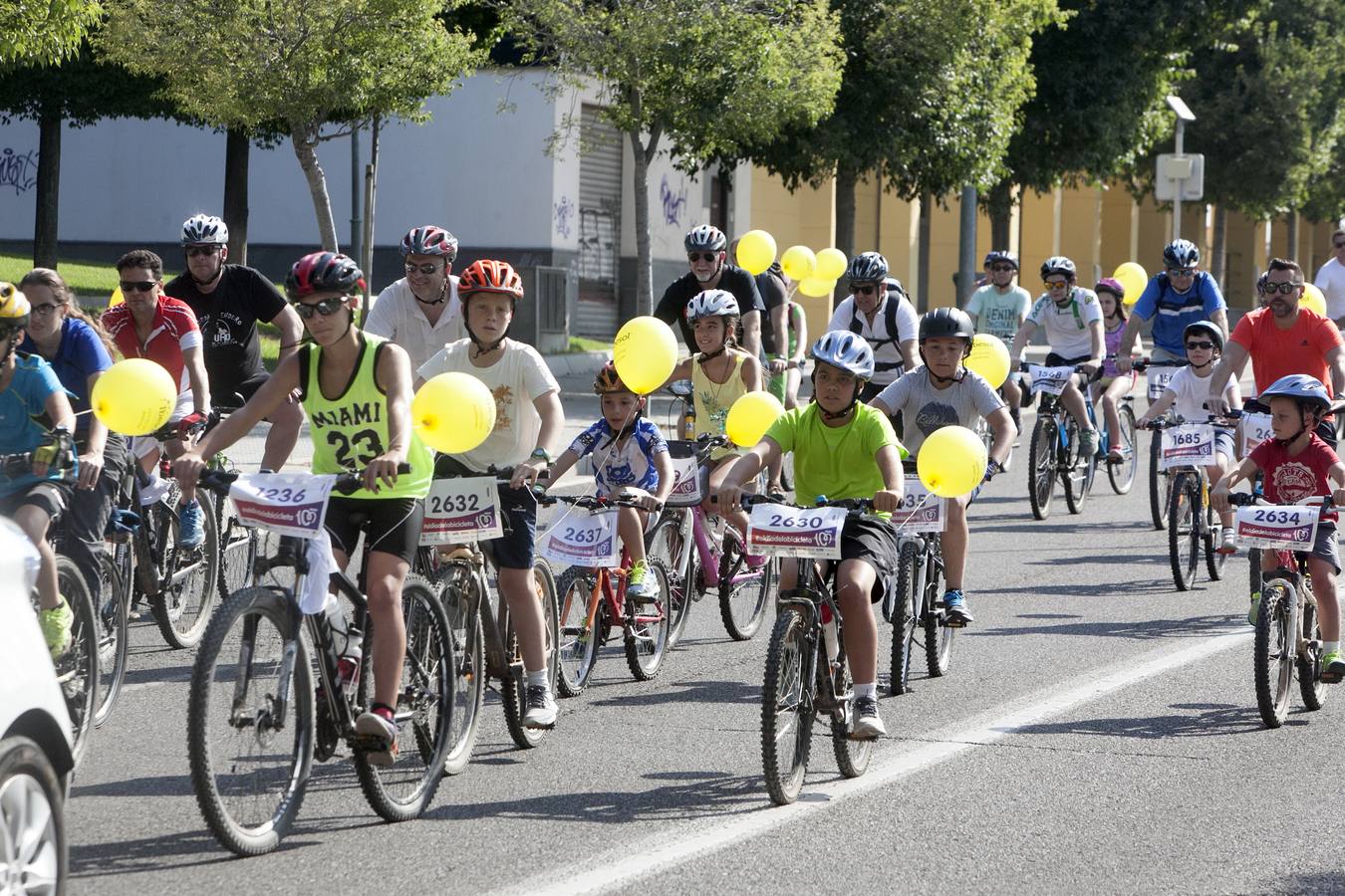 El Día de la Bicicleta de Córdoba, en imágenes