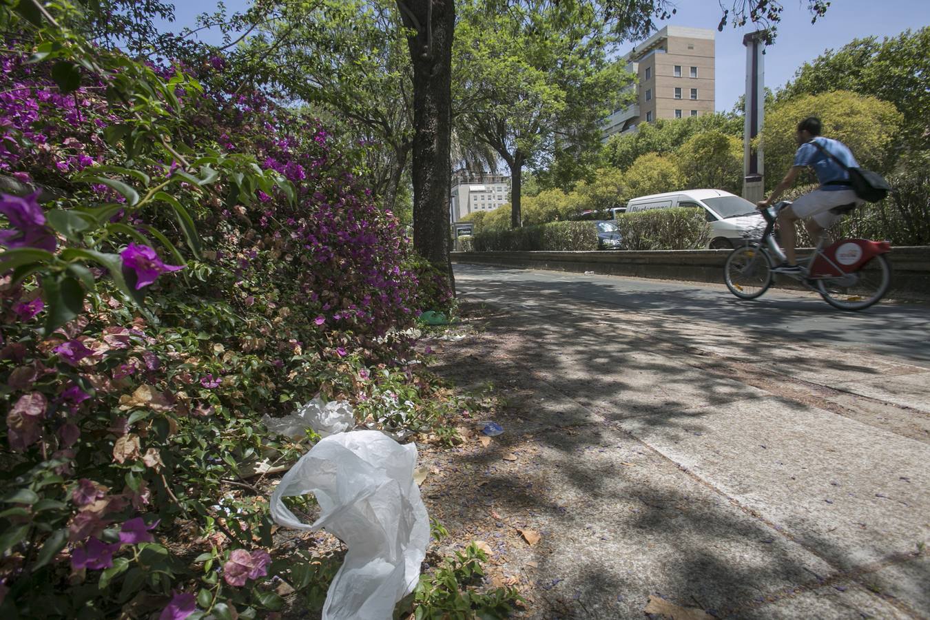 Avenida Alberto Jiiménez Becerril