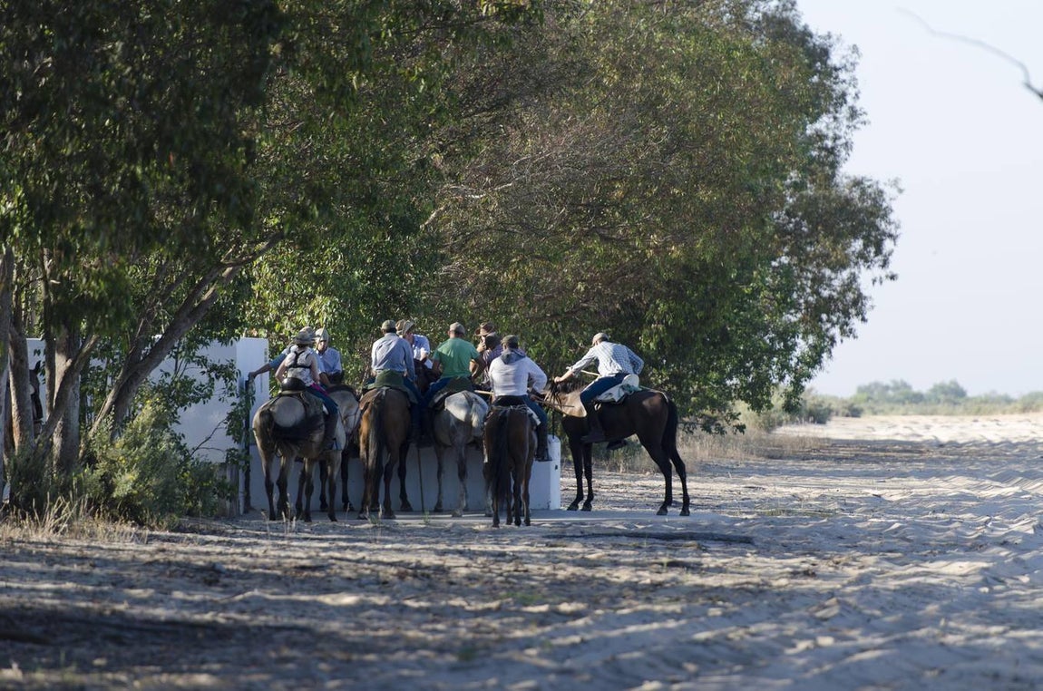 La Saca de las Yeguas en 2016