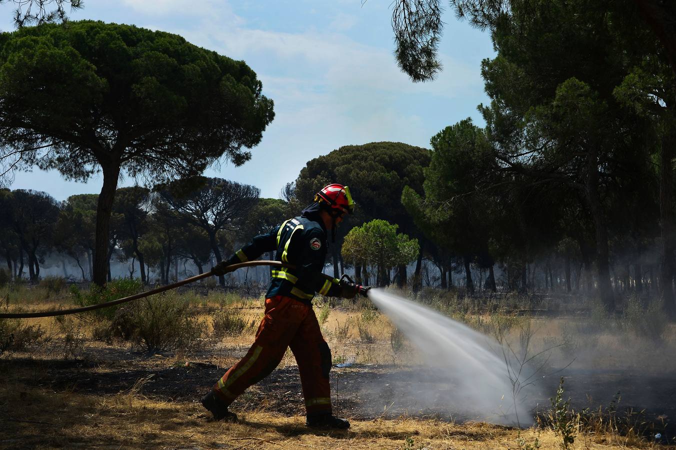 Las labores de extinción y lucha contra el incendio de Doñana, en imágenes