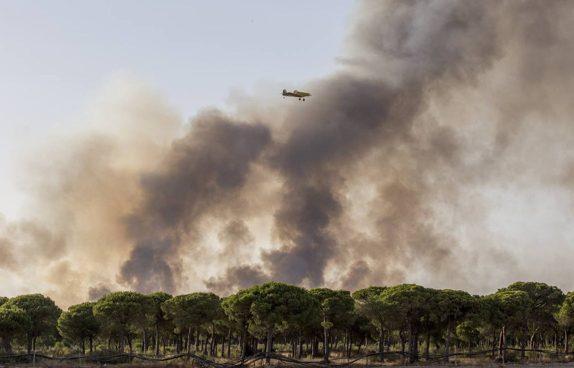 Los estragos del incendio en Doñana, en imágenes