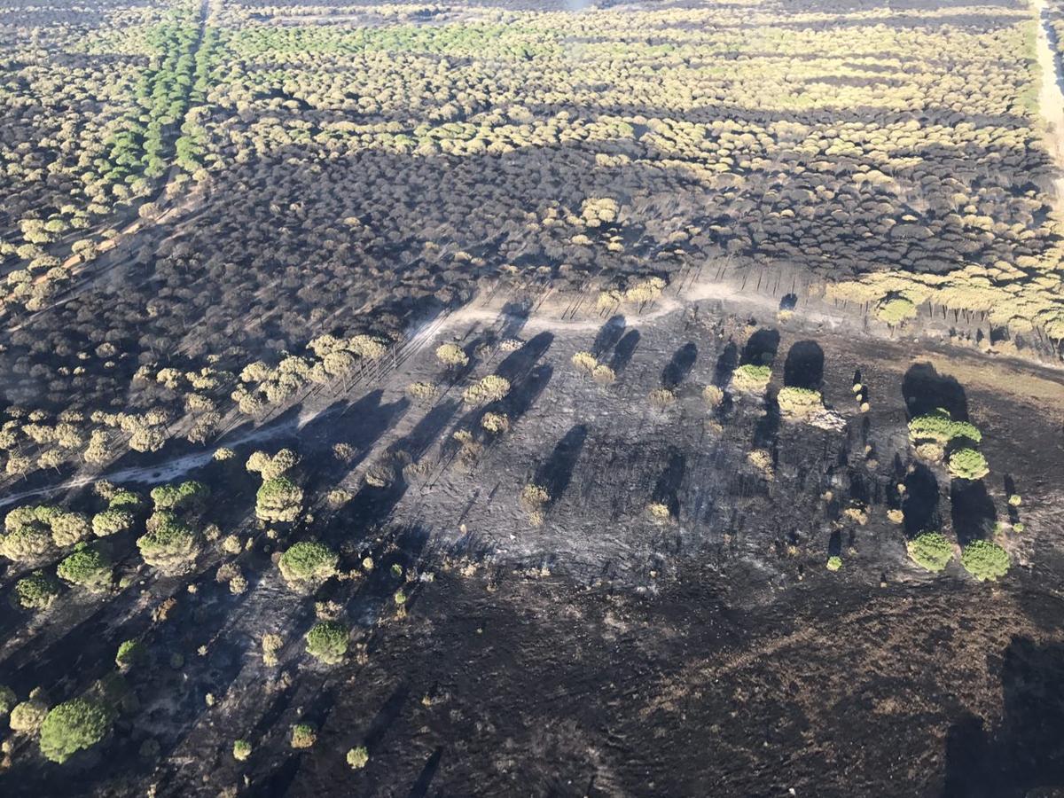 Fotografía aéreas del incendio que ha afectado al perímetro del Parque Nacional de Doñana, entre las localidades de Mazagón y Matalascañas