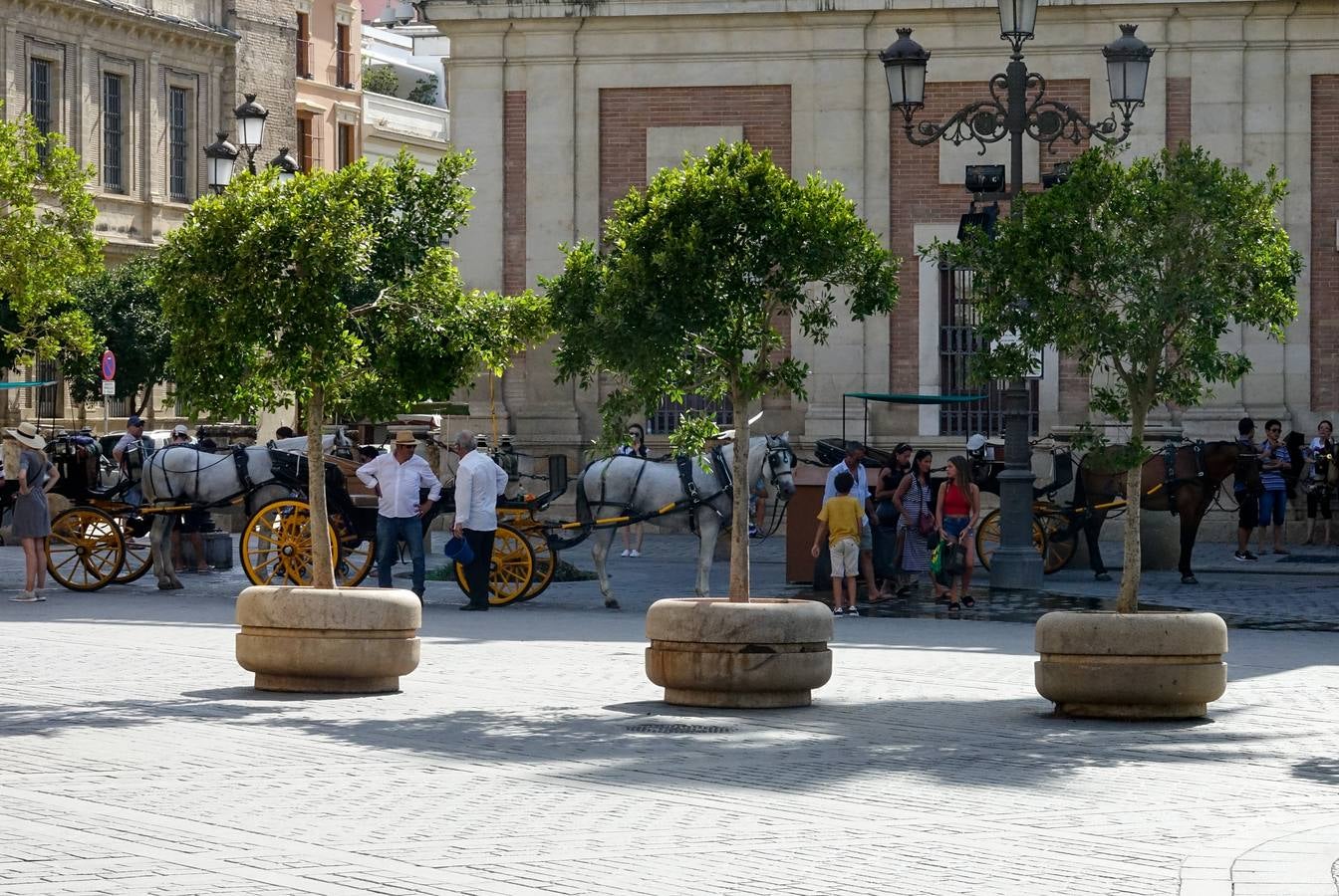 En imágenes: Sevilla se protege contra el terrorismo