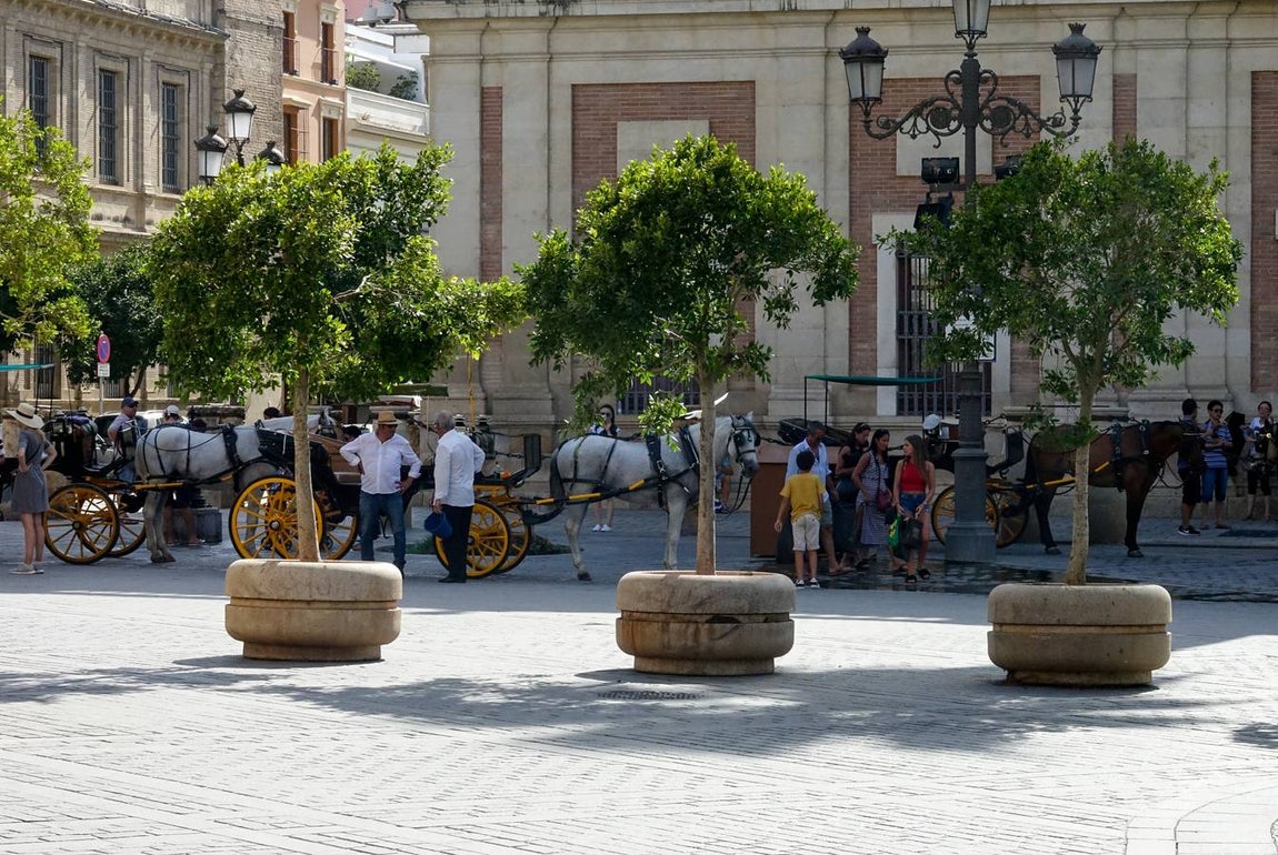 En imágenes: Sevilla se protege contra el terrorismo