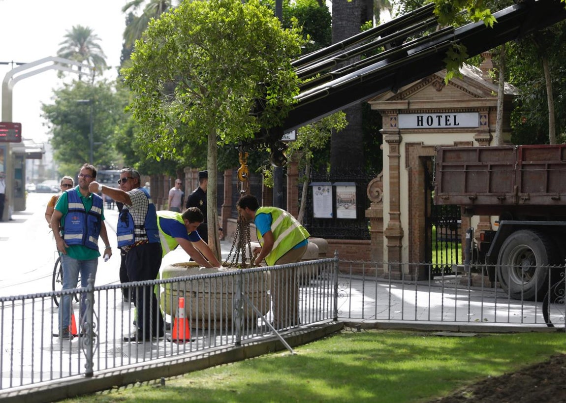En imágenes: Sevilla se protege contra el terrorismo