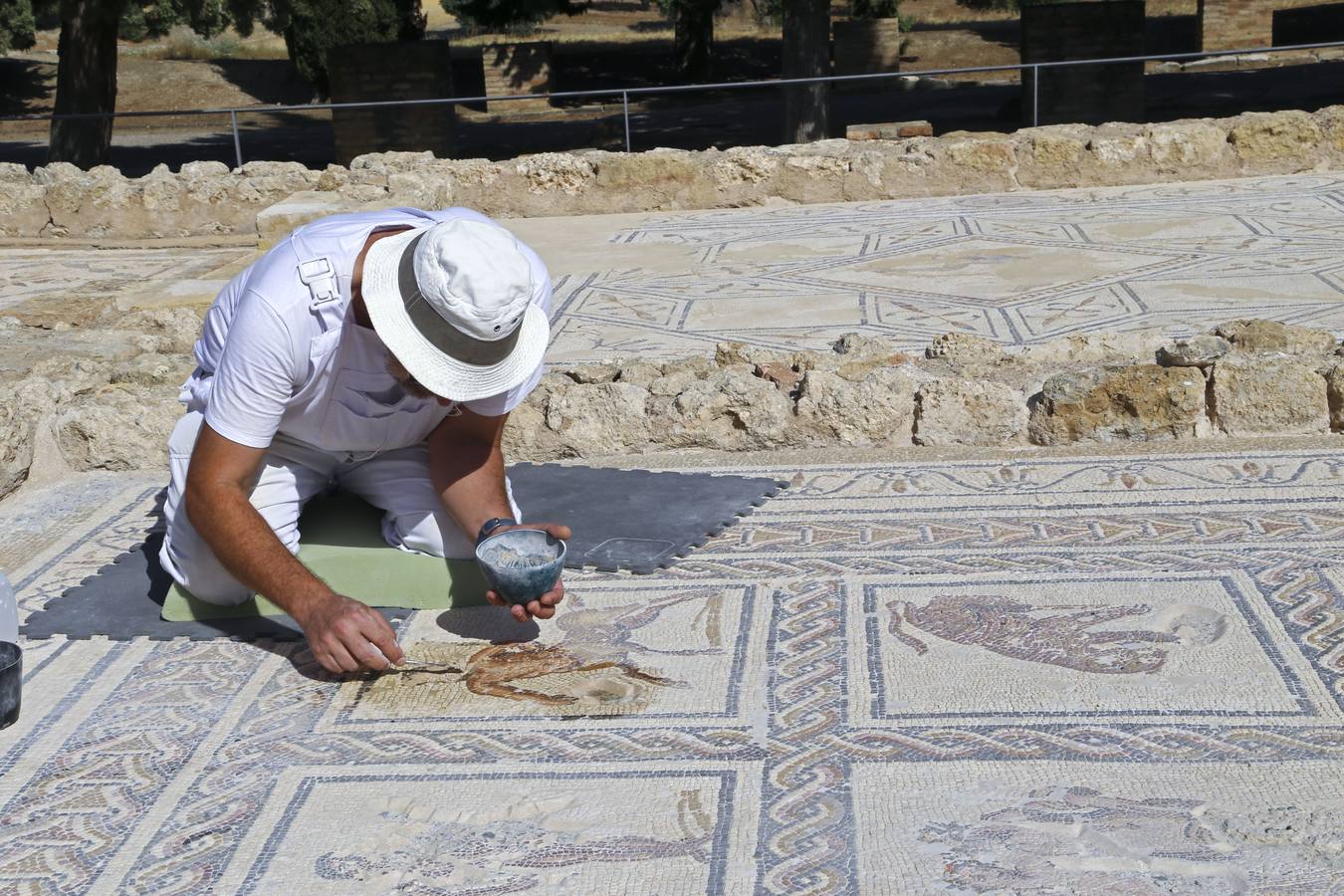 Así son los nuevos mosaicos descubiertos en Itálica