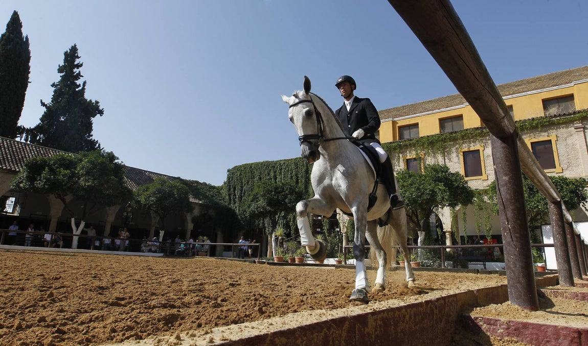 El primer día del Concurso Nacional de Doma Clásica, en imágenes