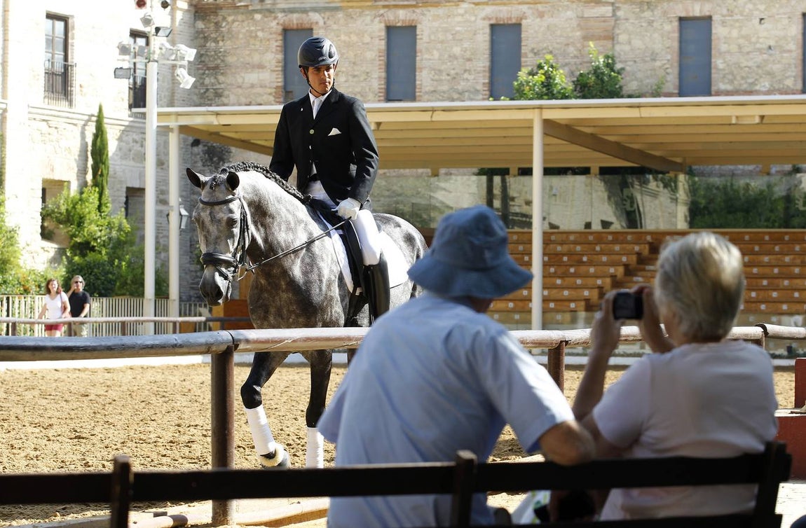 El primer día del Concurso Nacional de Doma Clásica, en imágenes