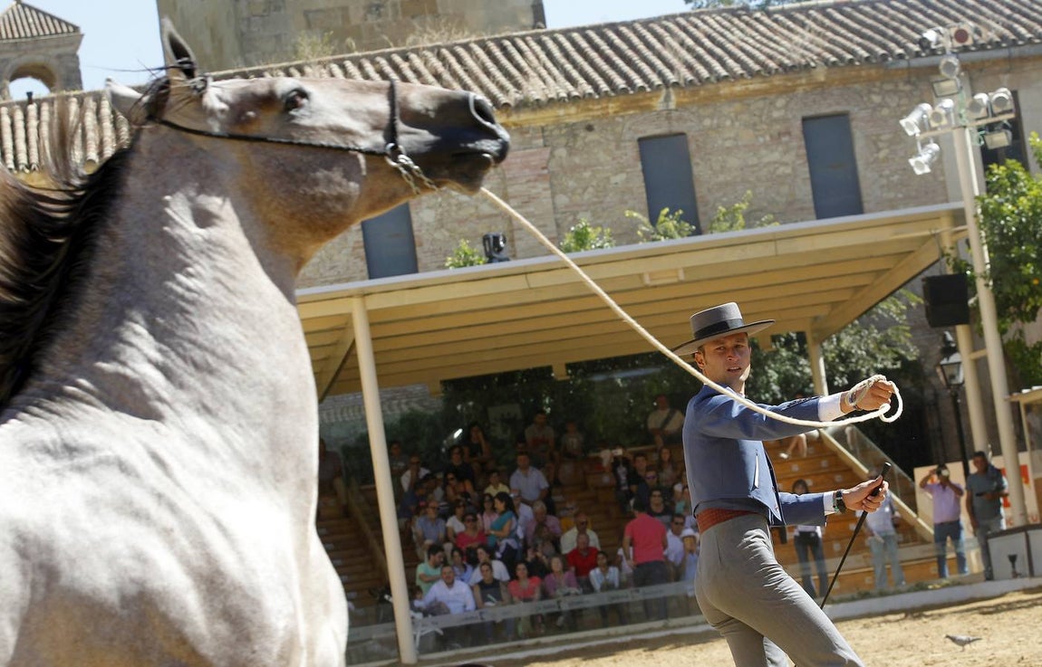 La última jornada de Cabalcor, en imágenes