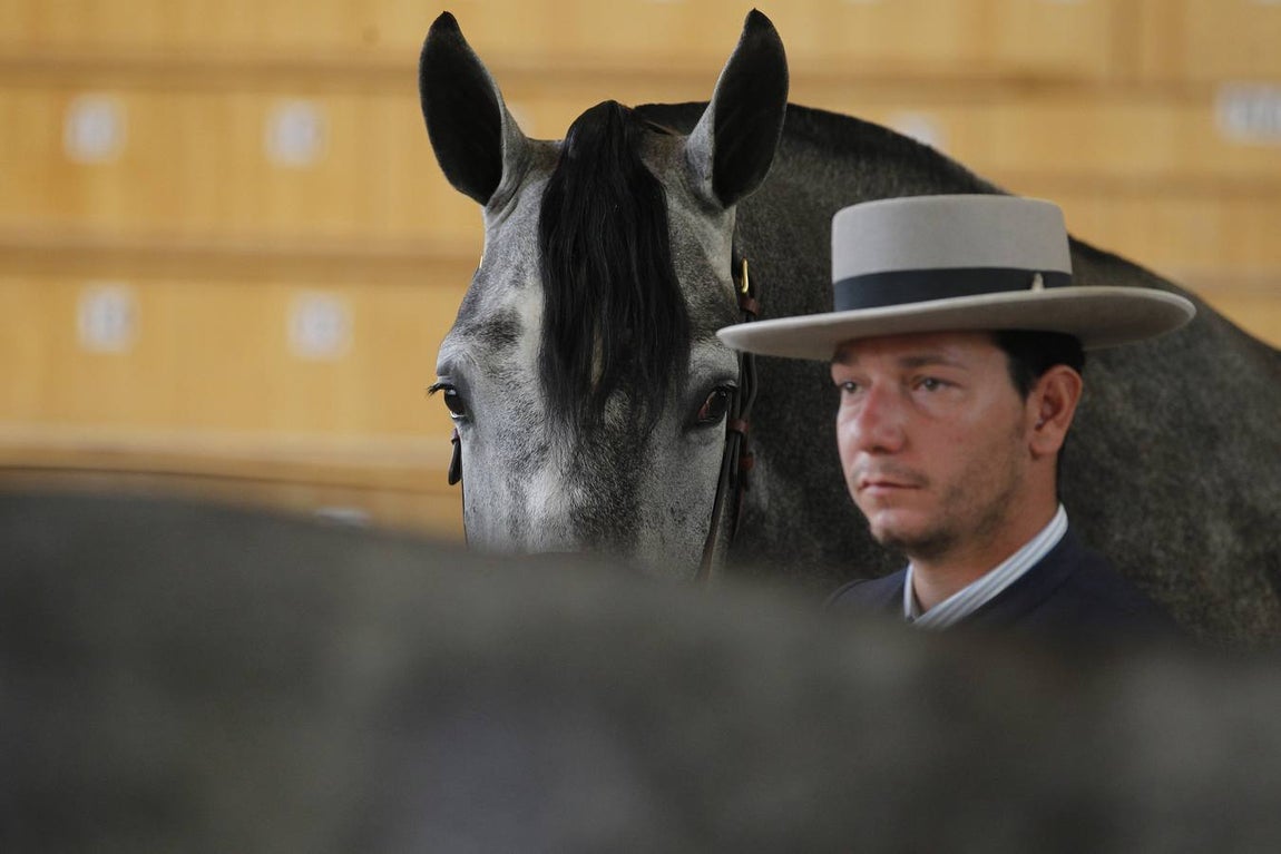 La última jornada de Cabalcor, en imágenes