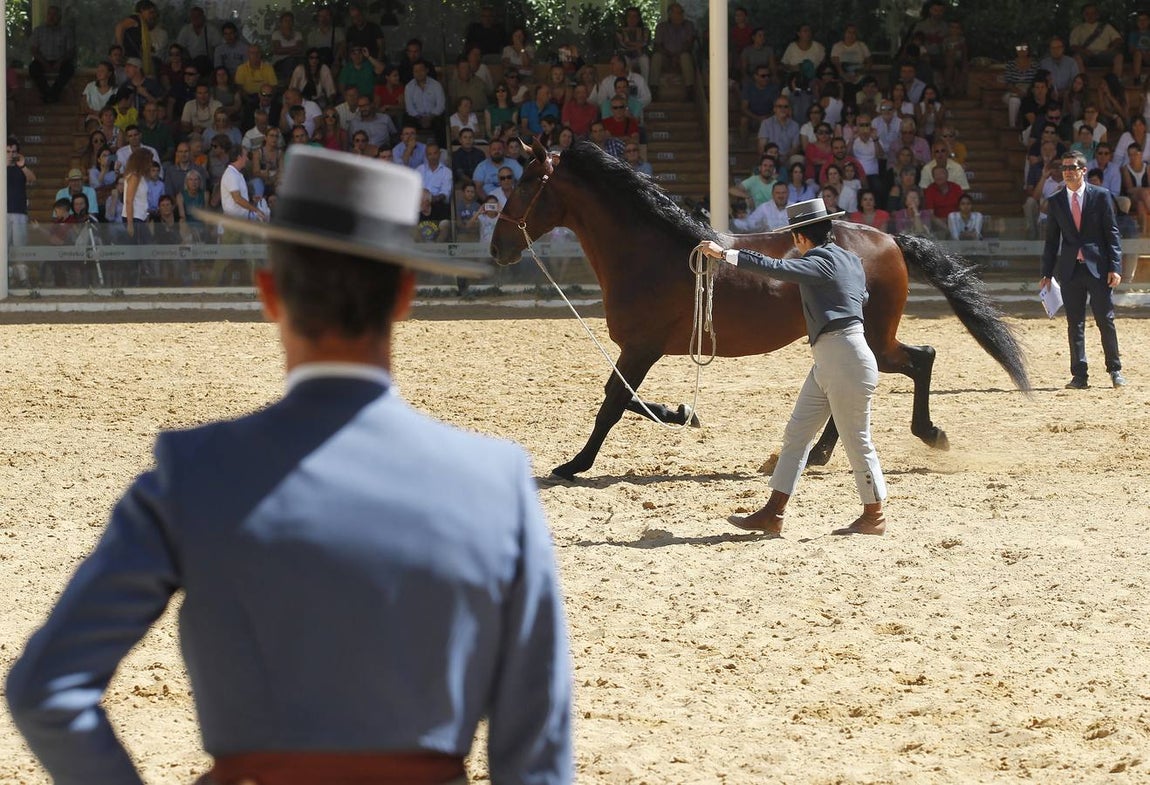 La última jornada de Cabalcor, en imágenes