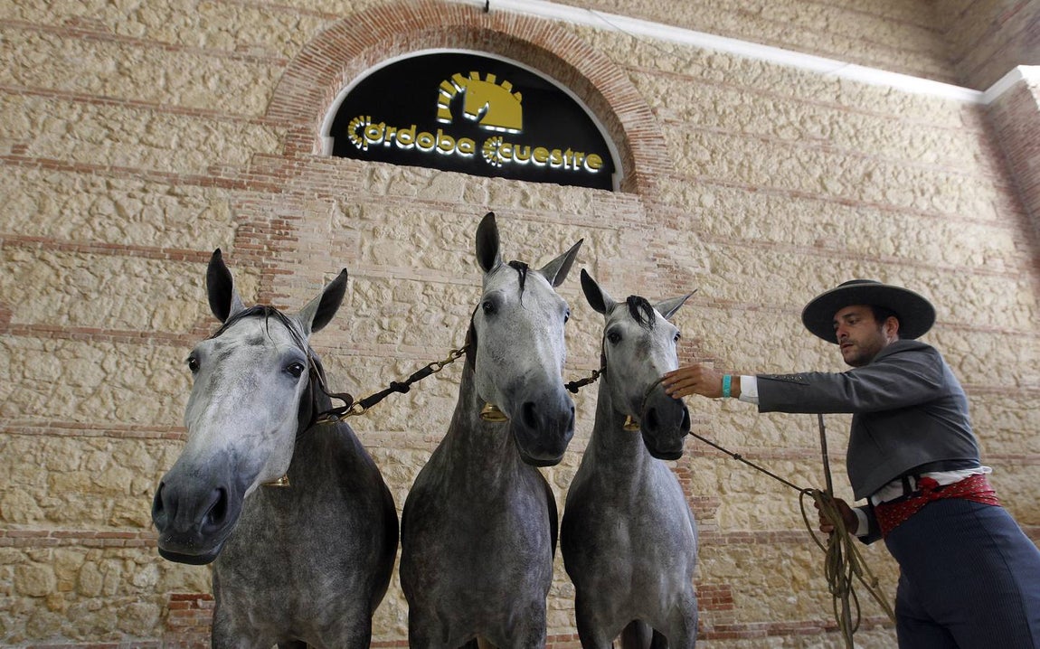 La última jornada de Cabalcor, en imágenes