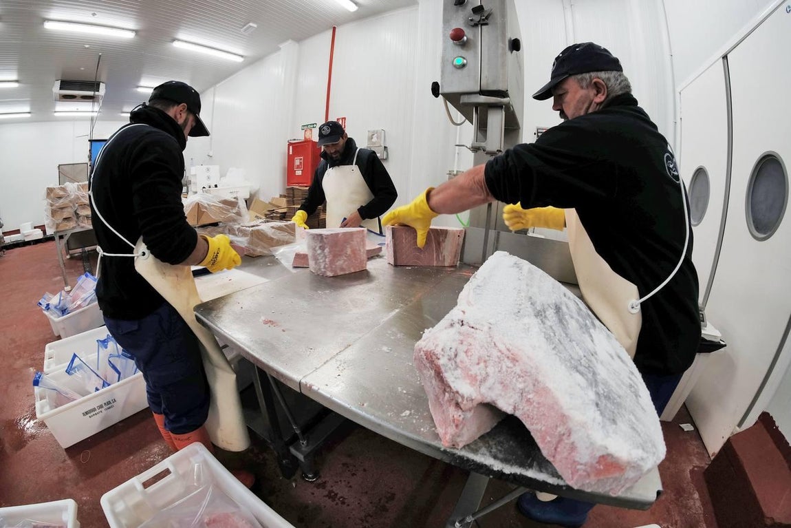 Barbate, una vida dedicada a la pesca del atún