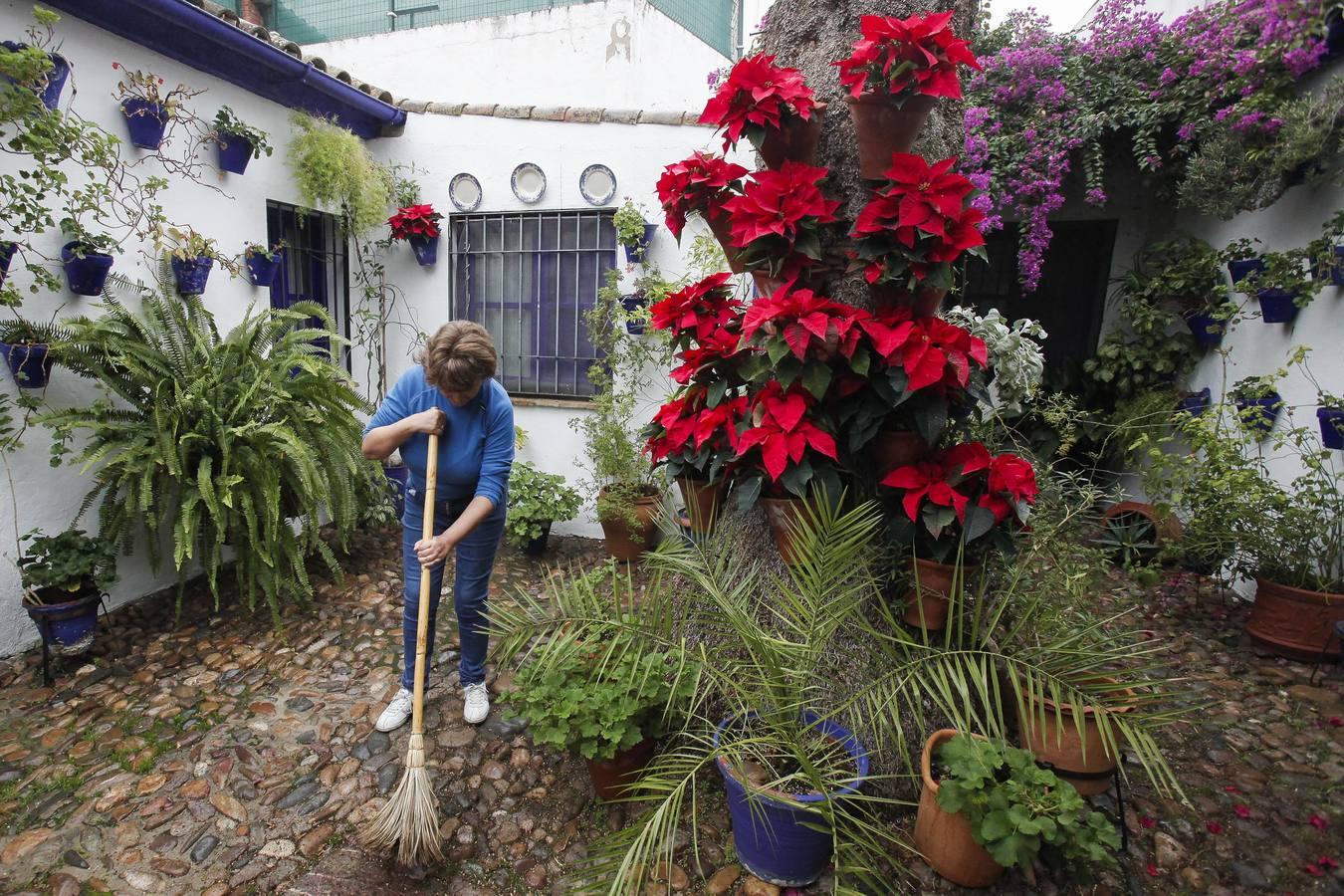 Así se engalanan los Patios de Córdoba para la Navidad