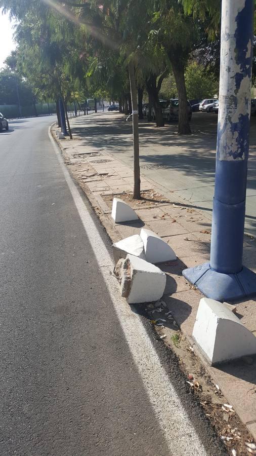 El legado del 92, en el olvido