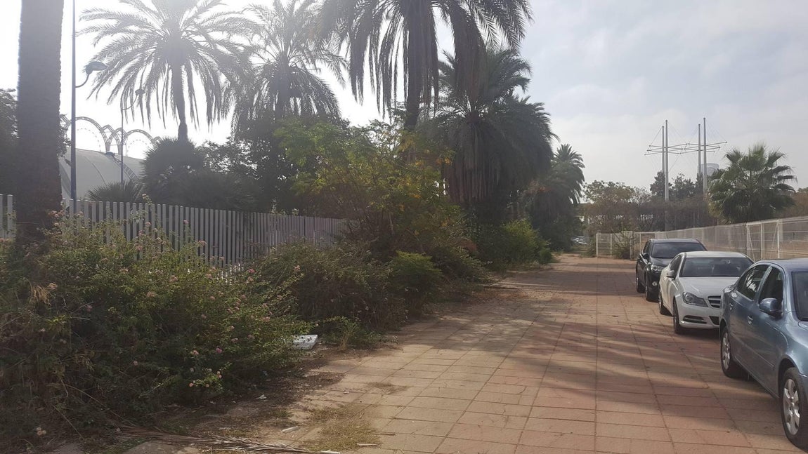 El legado del 92, en el olvido