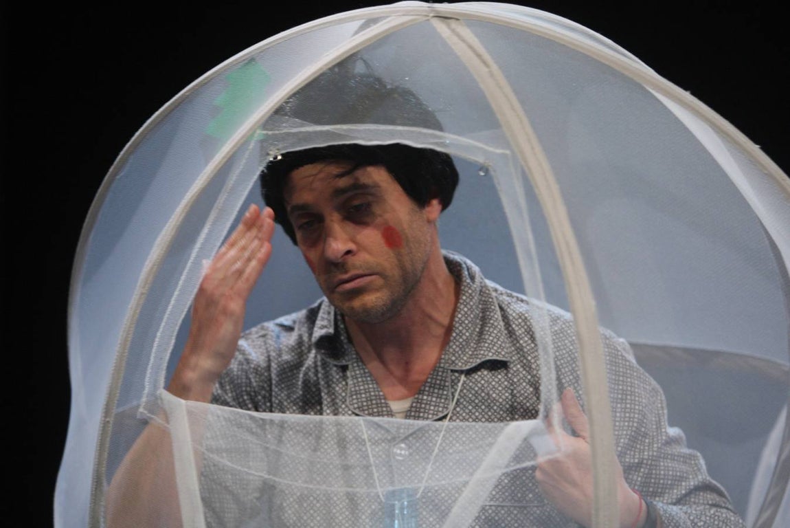 Carnaval de Cádiz: Así fue la actuación de la chirigota «Los que van a su bola»