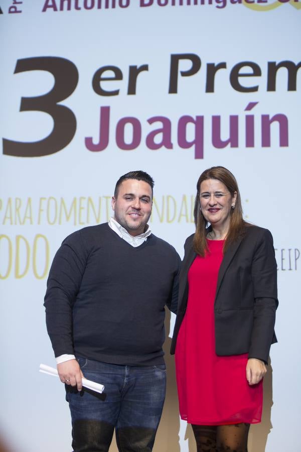 La entrega de los Premios Guichot y Domínguez Ortiz, en imágenes