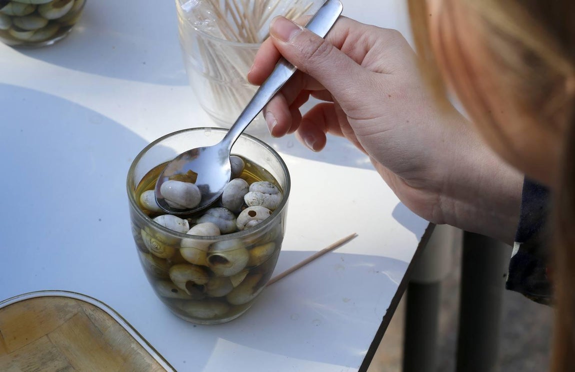 La nueva temporada de caracoles en Córdoba, en imágenes