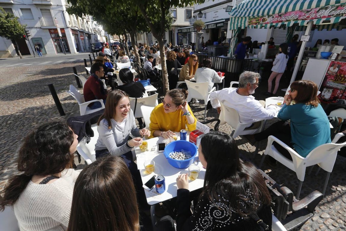 La nueva temporada de caracoles en Córdoba, en imágenes