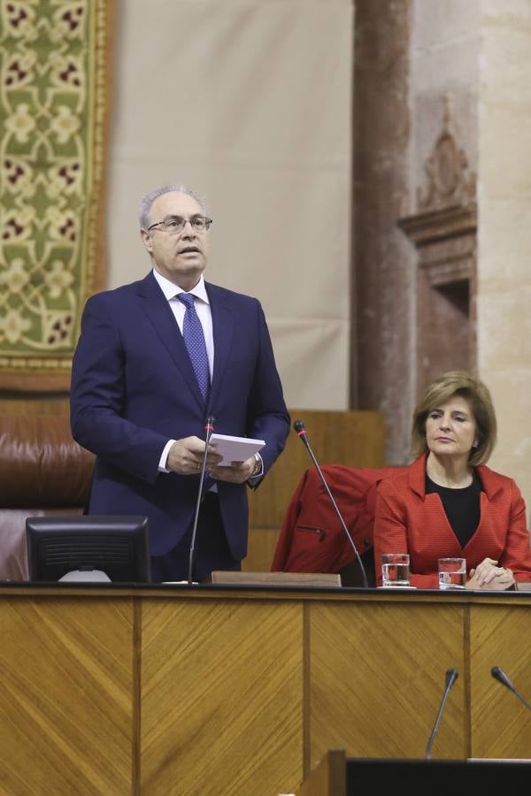 El Pleno institucional por el Día de Andalucía, en imágenes