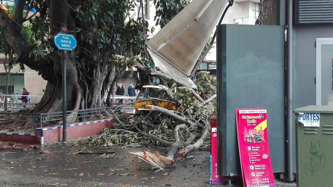 Temporal en Sevilla: El paso de la borrasca Emma por la ciudad, en imágenes