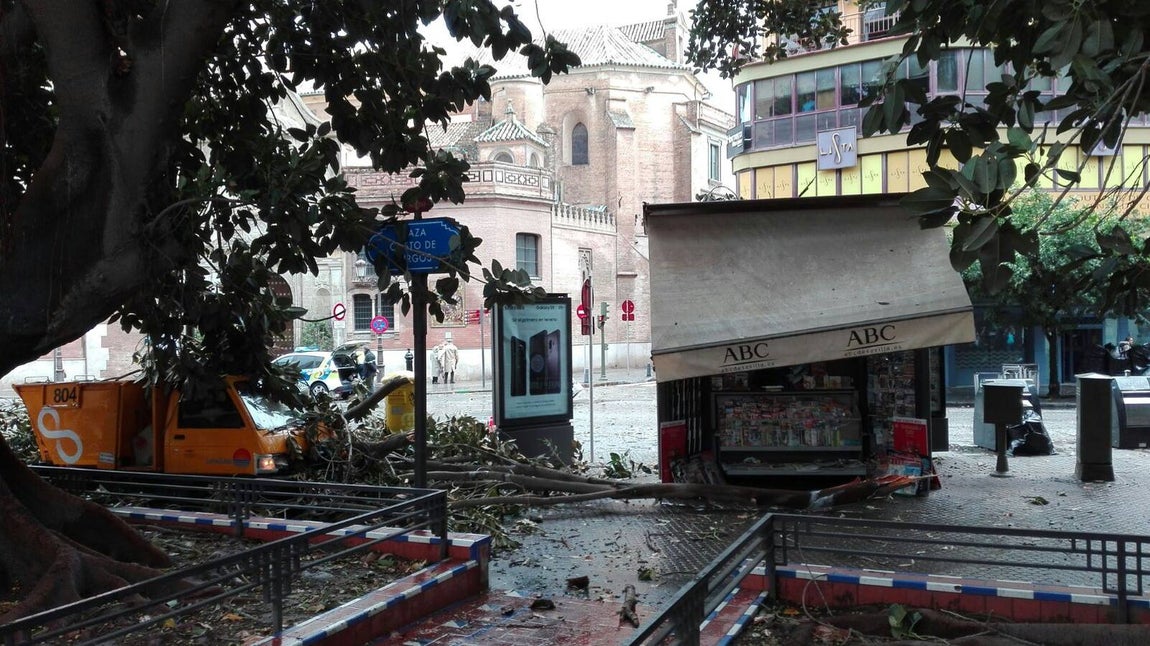 Temporal en Sevilla: El paso de la borrasca Emma por la ciudad, en imágenes