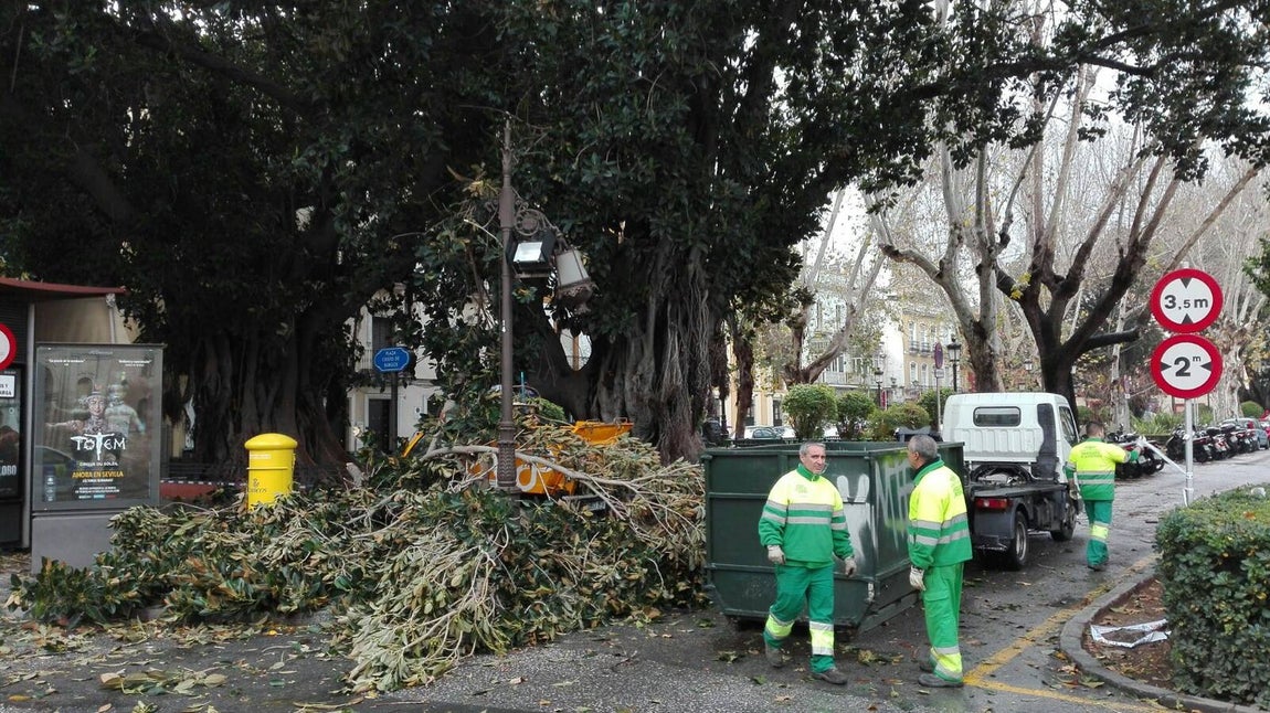 Temporal en Sevilla: El paso de la borrasca Emma por la ciudad, en imágenes