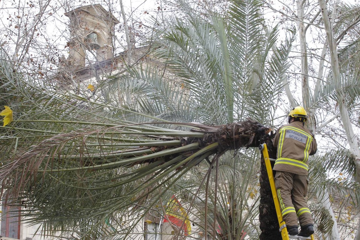Temporal en Sevilla: El paso de la borrasca Emma por la ciudad, en imágenes